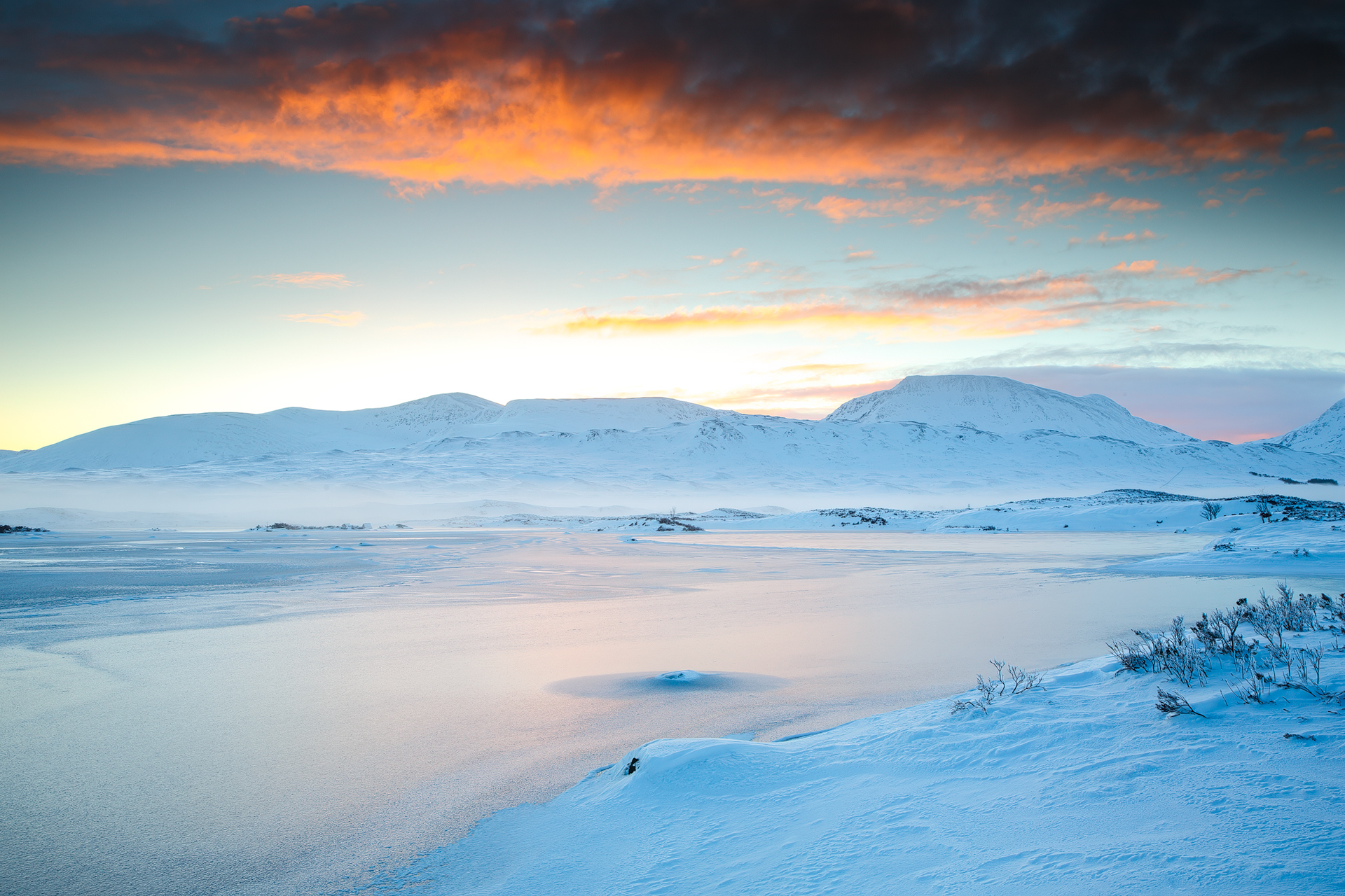 Web  Q2A1847 Modifica 2